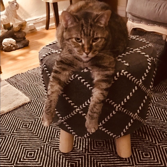 Meet your Posher, Sanddra - Picture 9 of 16